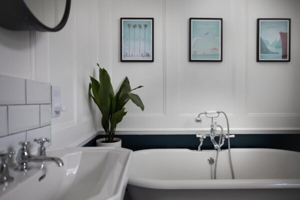 Douglas Road Extendia 10