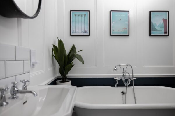 Douglas Road Extendia 8599